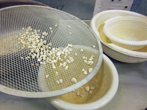 Sieving bone dry chunks to the right size
