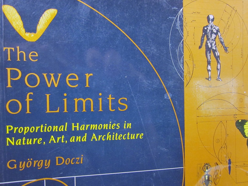 The Power of Limits cover