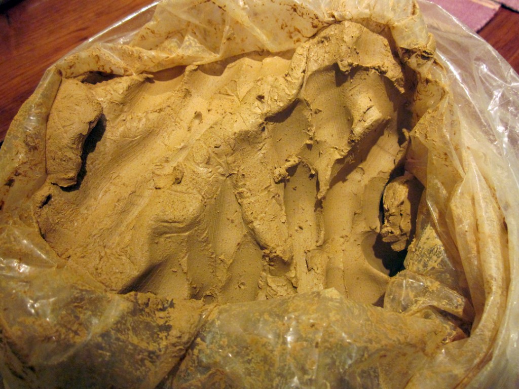LizCrain_Sandstonebufflclay