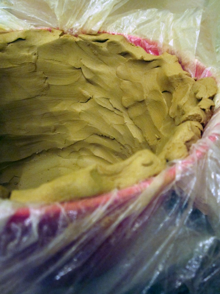 LizCrain_pressmoldedpot1