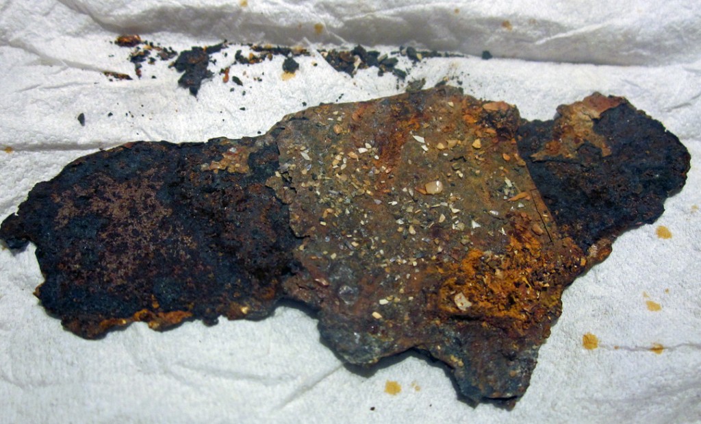 Tales of the Festival - Liz Crain Studio