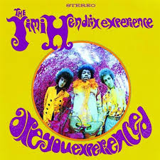 are you experienced