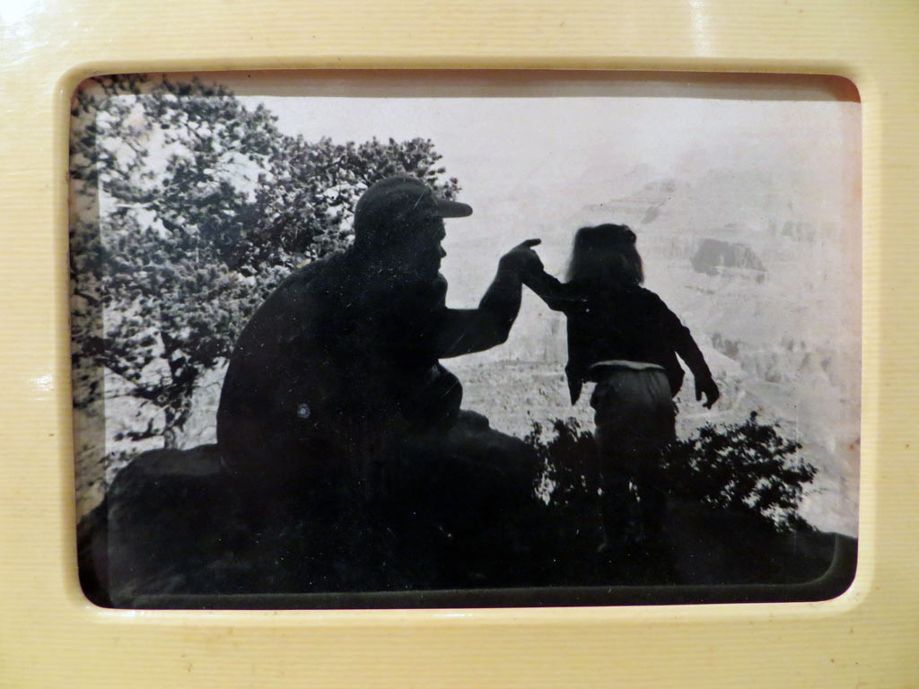 Silhouettes of father and daughter looking at the Grand Canyon