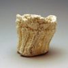 Sea Scallop Edge Small Cup - Image 2