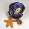 ceramic pail knitted shells