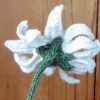 knit daisy back