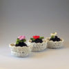 Chocolate Candy Cup - Image 5
