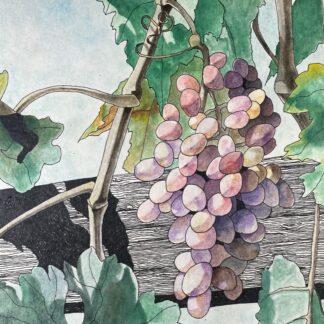 Amador County Grapes